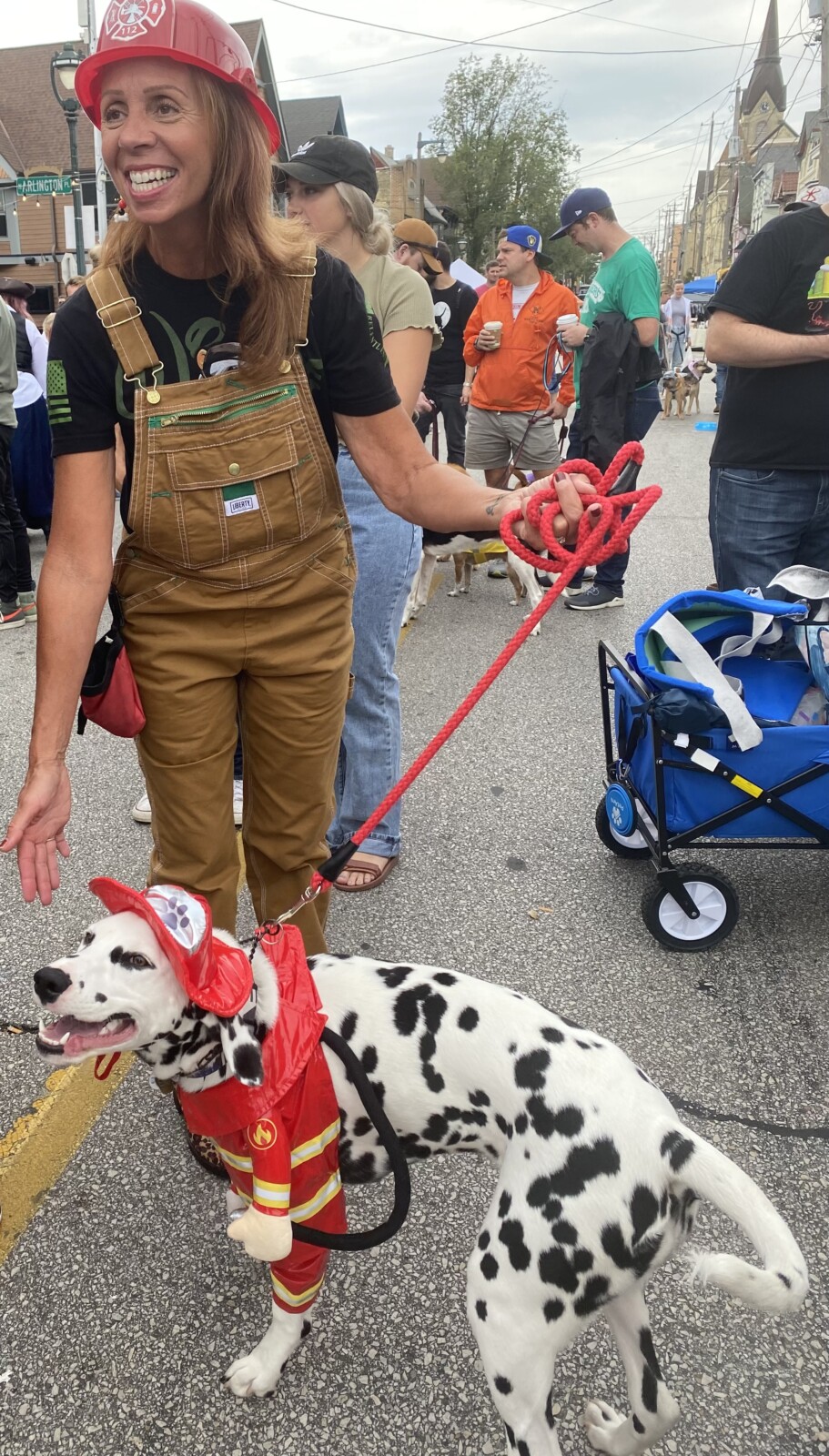 pet lovers guide to Milwaukee