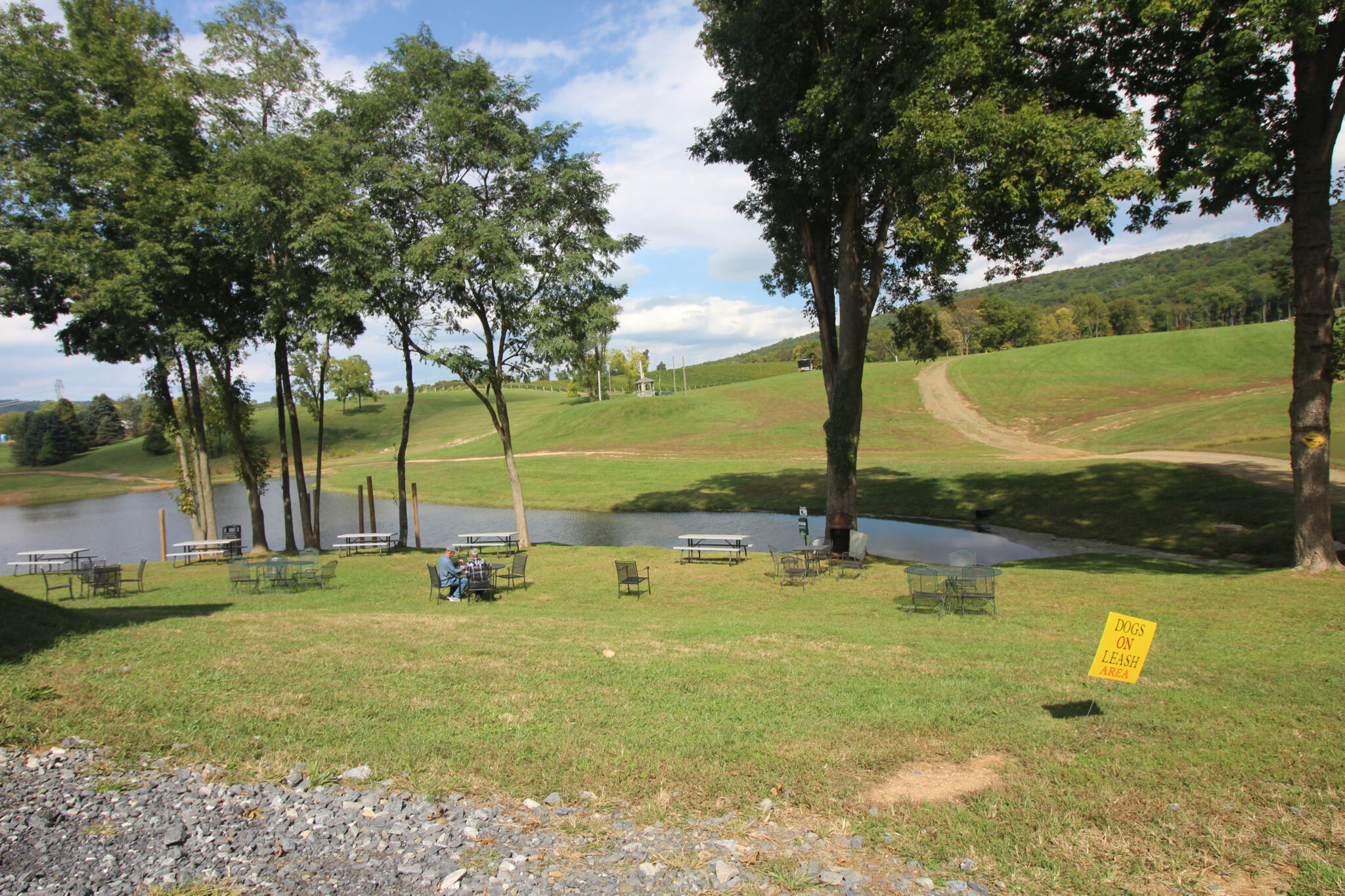 Wineries in Northern VA: Women Winemakers of Loudoun County 6 wineries in Northern VA