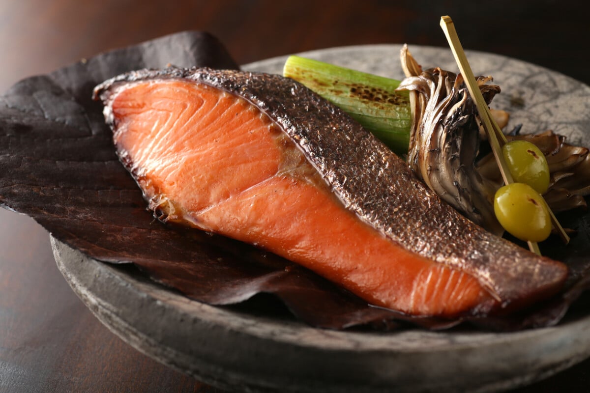 salmon