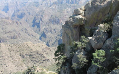 Riding the el Chepe Train: A Journey through Mexico’s Copper Canyon