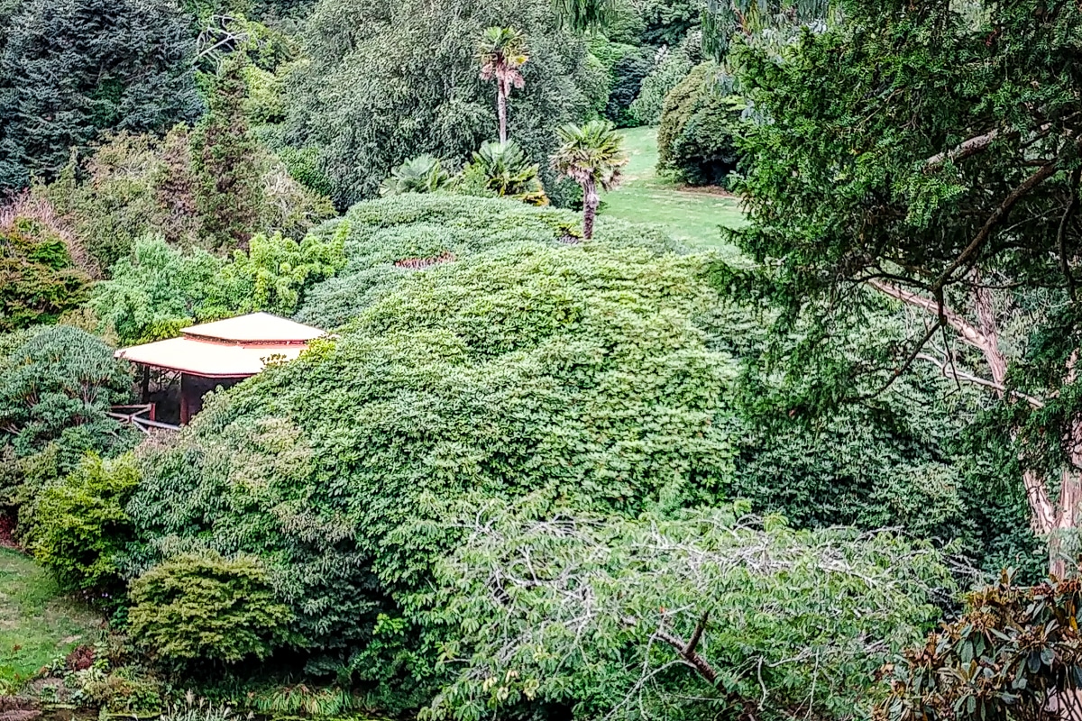 Tregothnan Tea House and tea garden. Photo by Mary Charlebois