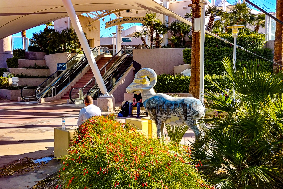 Palm Springs International Airport. Photo by Mary Charlebois