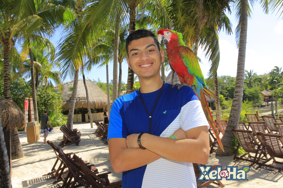 Cancún’s Grand Oasis Resort: Adventure to Xel-Há 7 Xel-Há Natural Theme Park