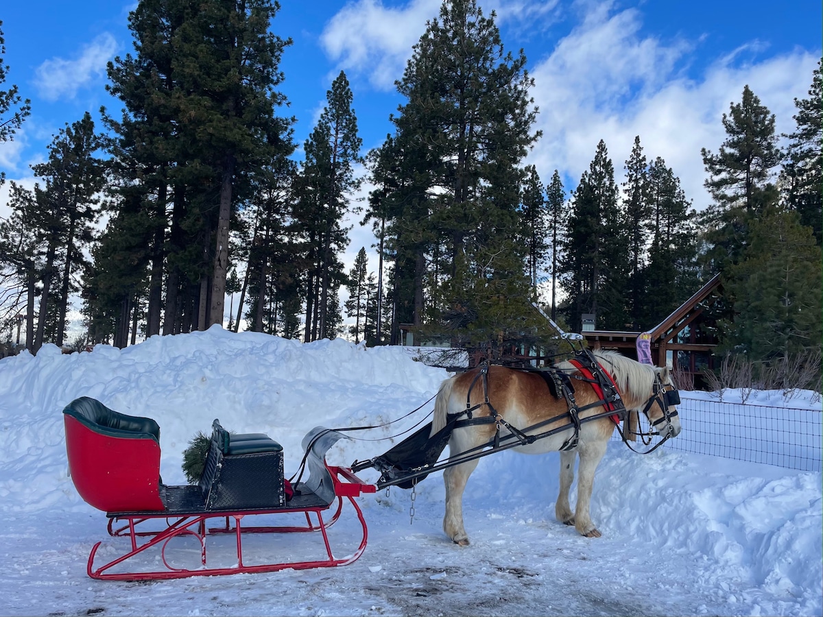 Lake Tahoe Sleigh