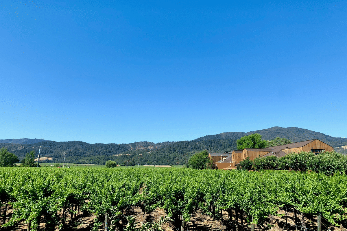 Best Guided Winery Tours in Napa and Sonoma