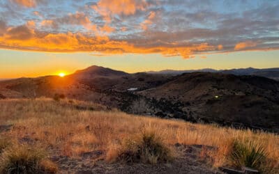 Things to Do in Fort Davis Texas