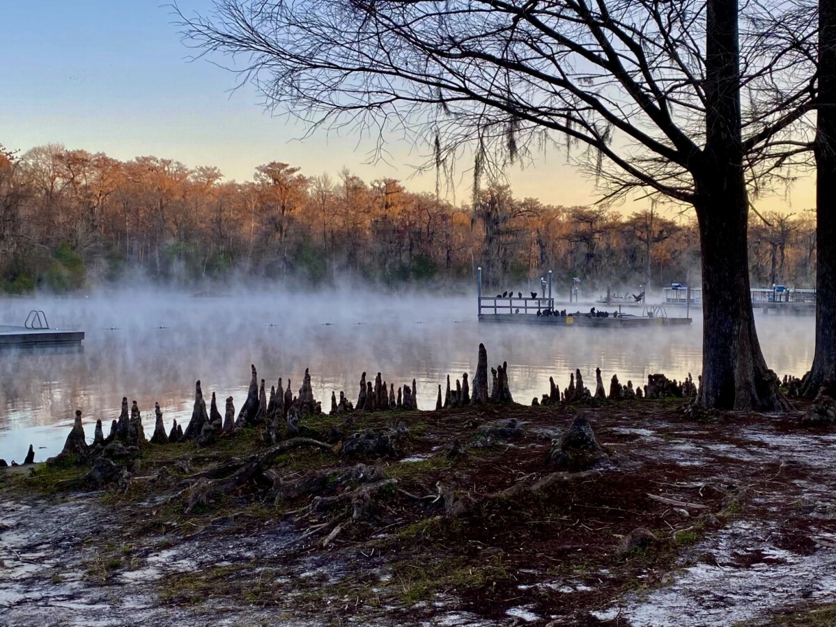 Discover Wakulla Springs State Park 12 Wakulla Springs