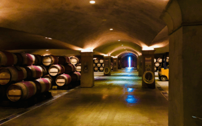 A Sommelier’s List of the Best Guided Winery Tours in Napa and Sonoma