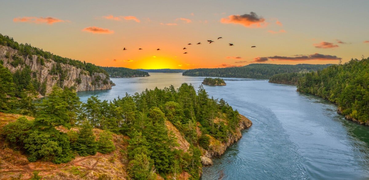 Whidbey Island for Dog Lovers