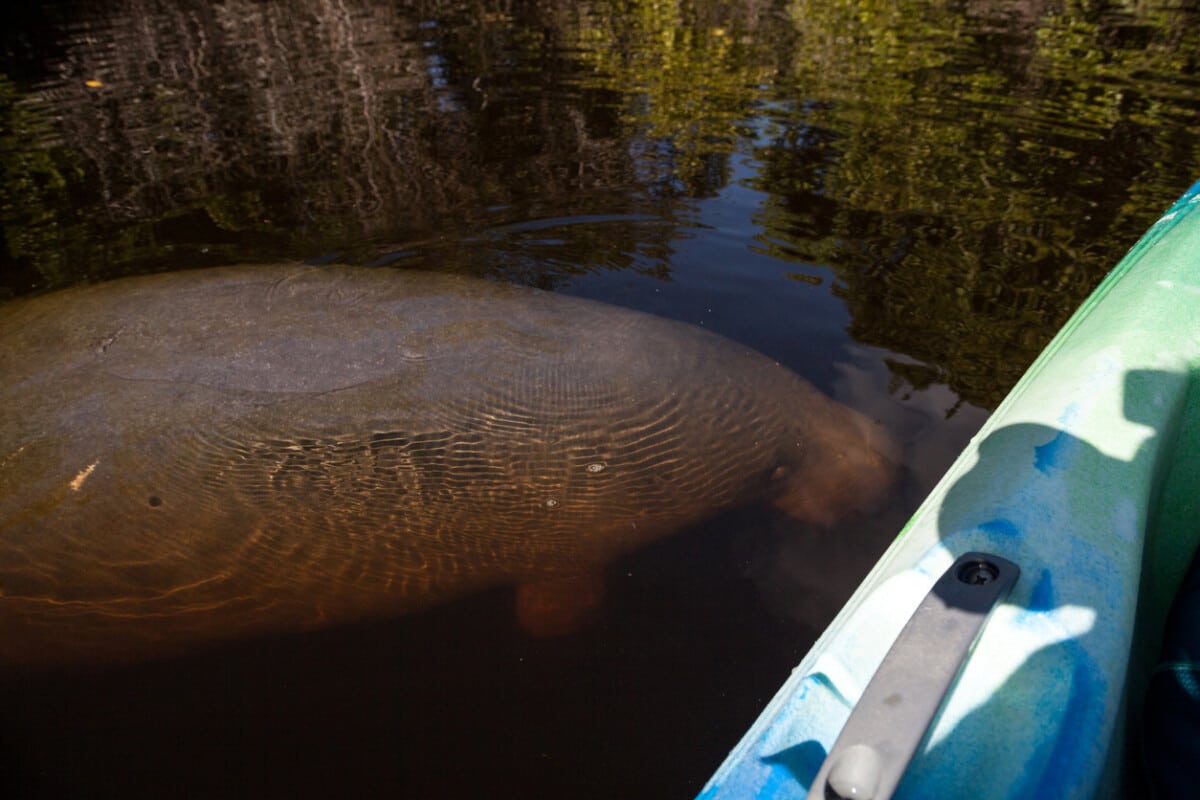 Fun Things to Do Around Fort Myers Beach