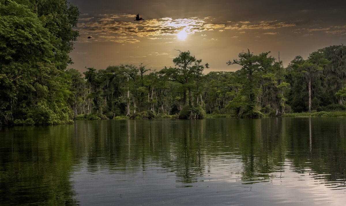 Wakulla Springs