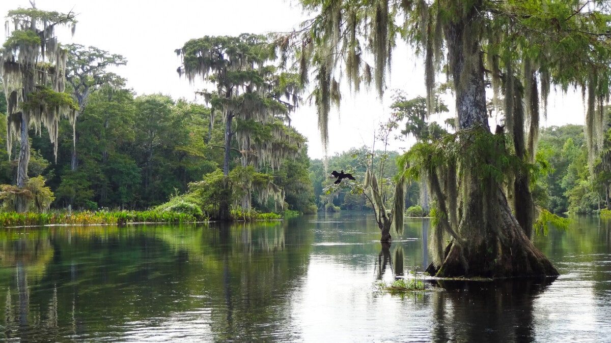 Wakulla Springs