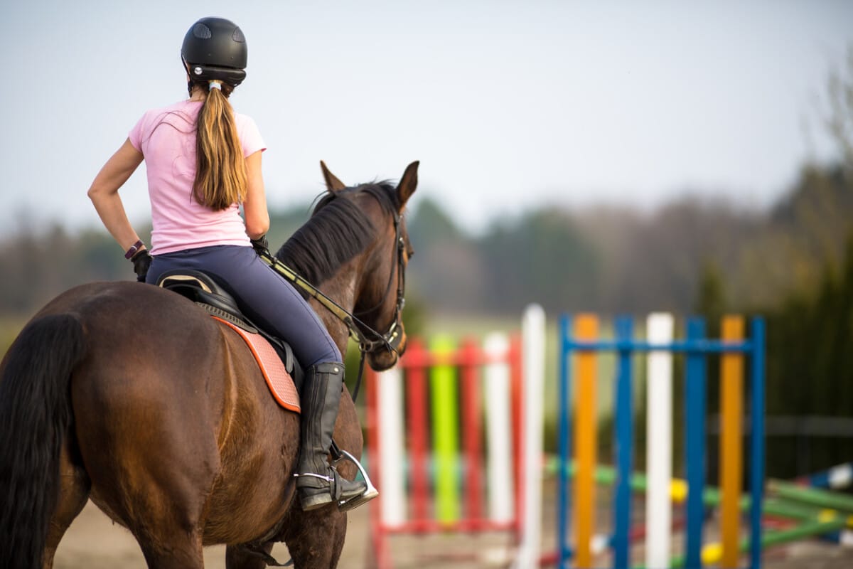 Owning a Horse