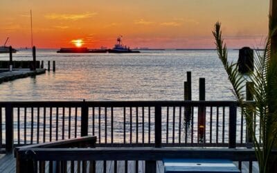 Fido Friendly Getaway on the Delmarva Peninsula
