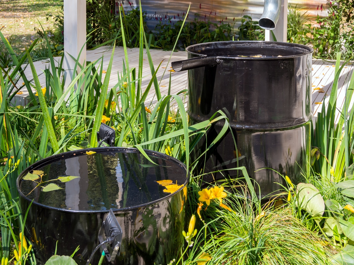 sustainability tips
