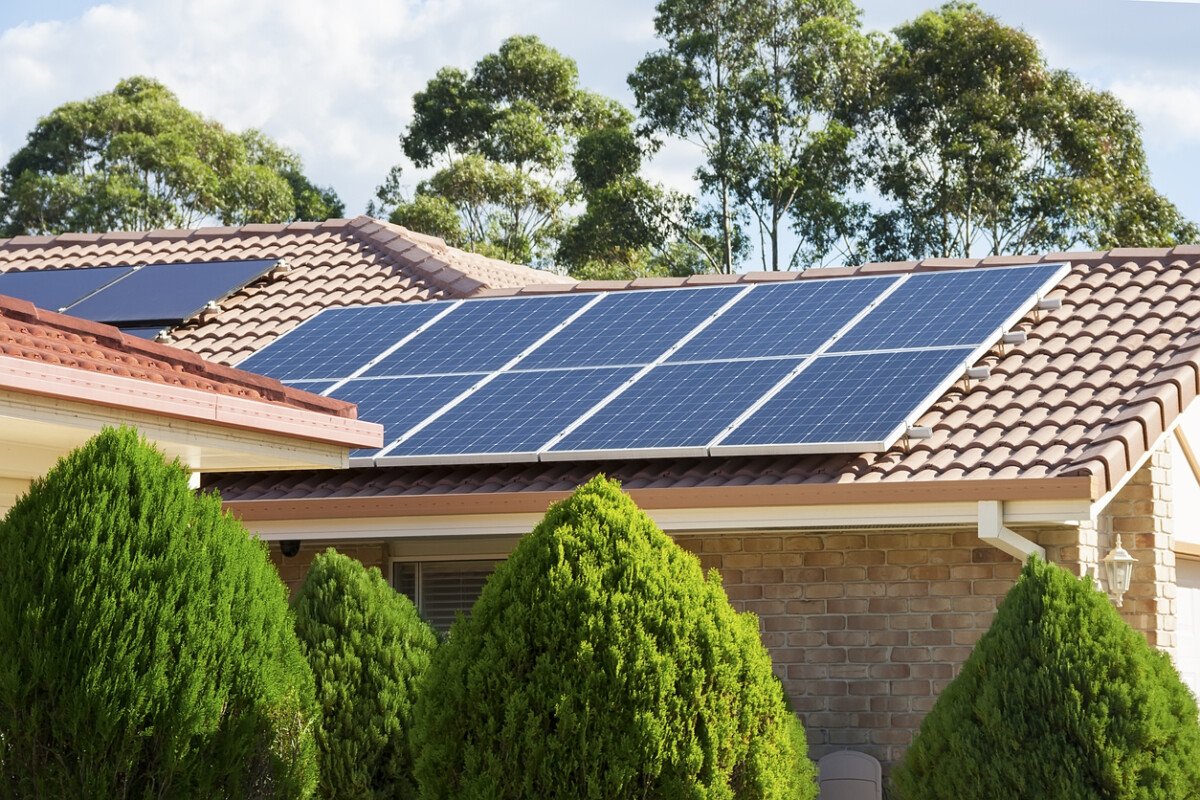 sustainability tips