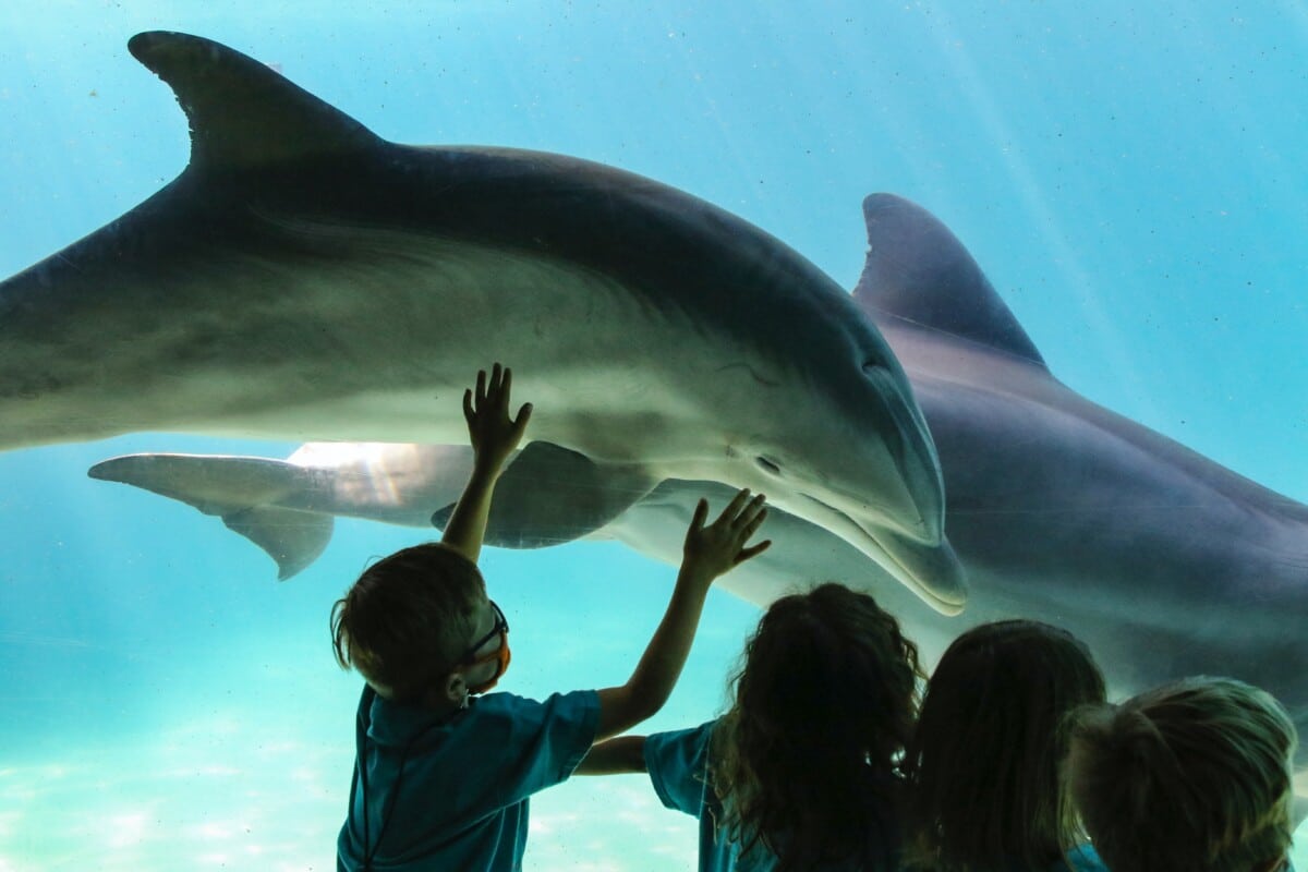 Family Attractions in Florida