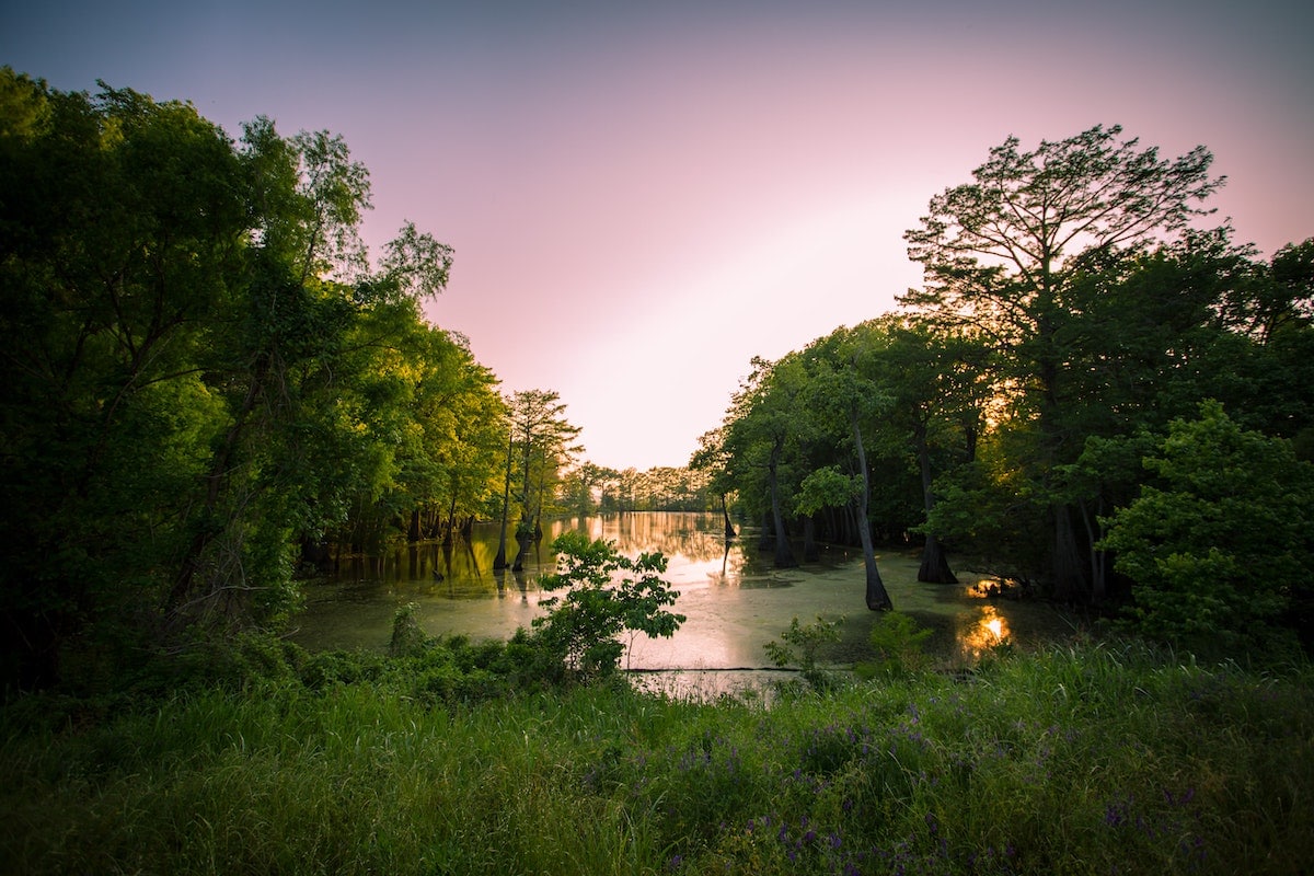 Visit Mississippi