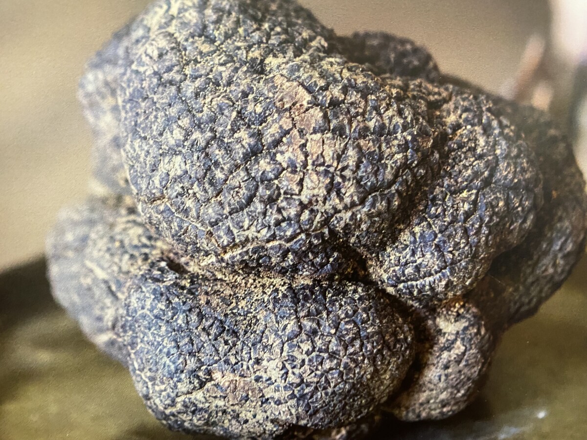A Cultural Feast Cruising up France's Rhône River 10 Black Truffle