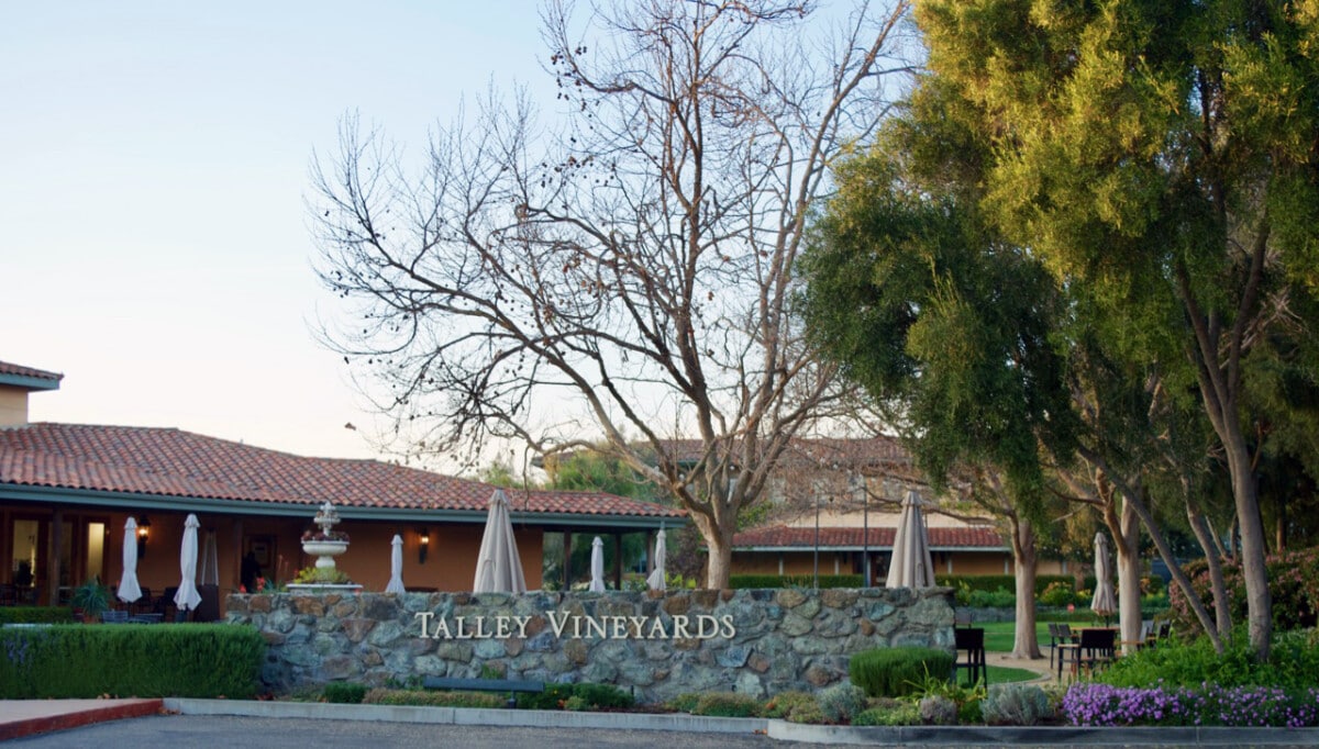 Talley Vineyards © Cori Solomon