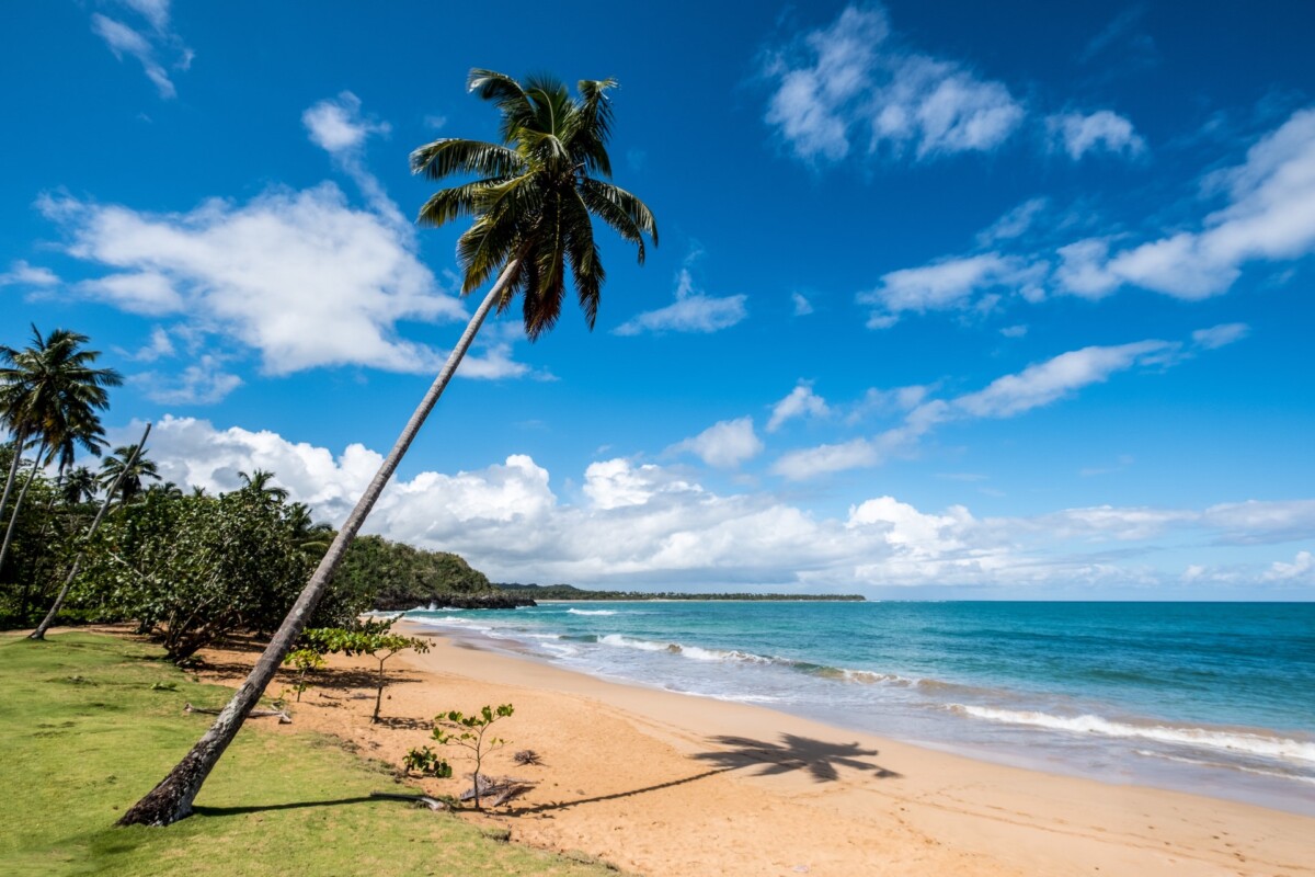 The Dominican Republic: Home to the Best Beaches in the World 6 Dominican Republic