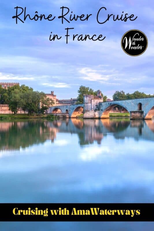 Set off from Avignon to Lyon with AmaWaterways for a Rhône River cruise through Southern France. Food, wine, history, art, and culture abound. 