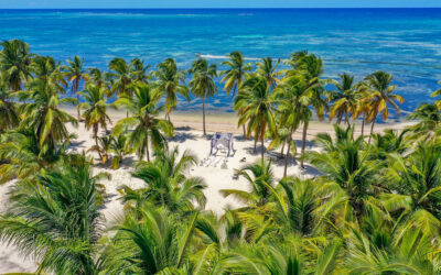 Best Punta Cana Airport Transfers for a Stress-Free Arrival