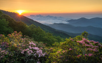 Chetola Resort & Spa: Blue Ridge Parkway Escape