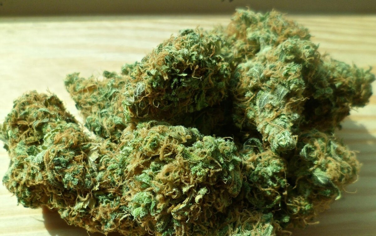5 Top Weed-Friendly Destinations for Travel 2022 and Beyond 32 weed-friendly destinations