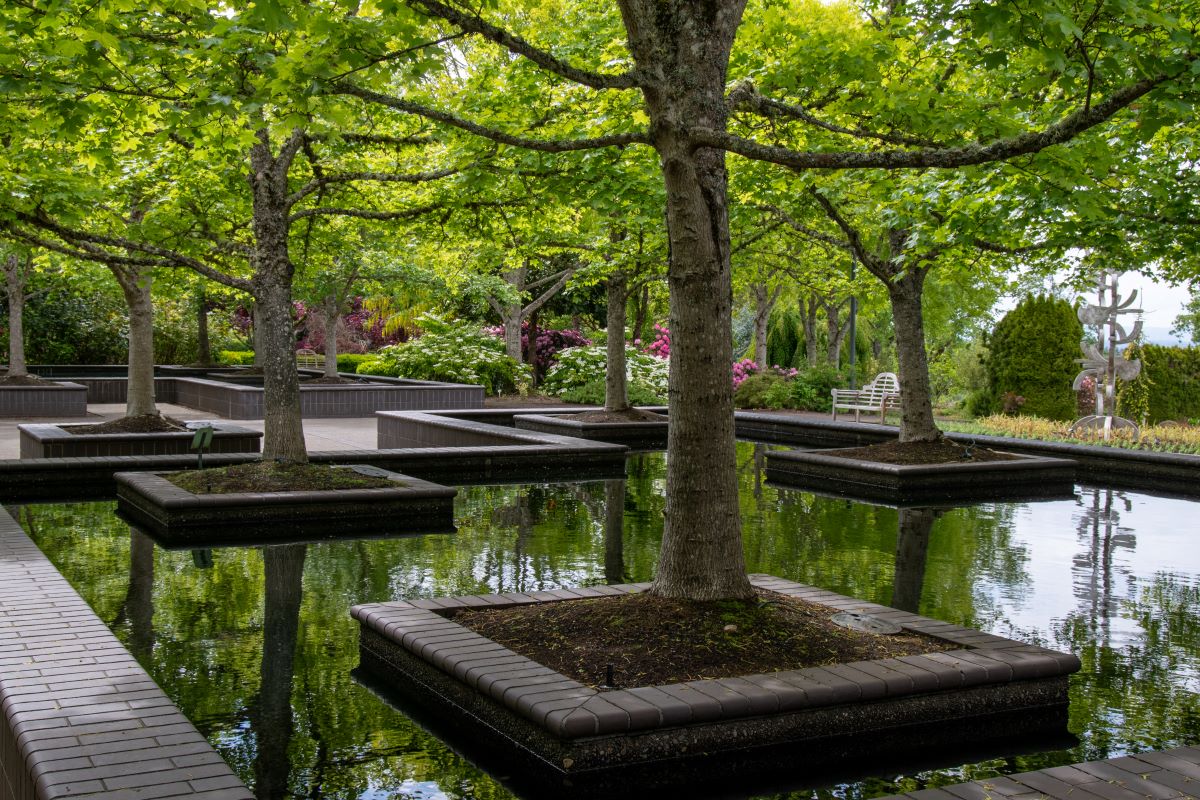 Bosque Garden on the Marion Farm Loop.