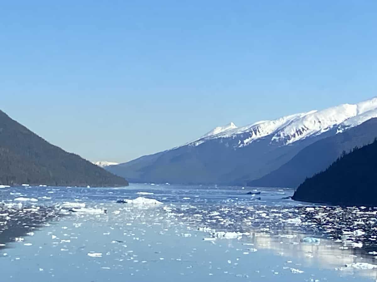 Cruising Endicott Arm