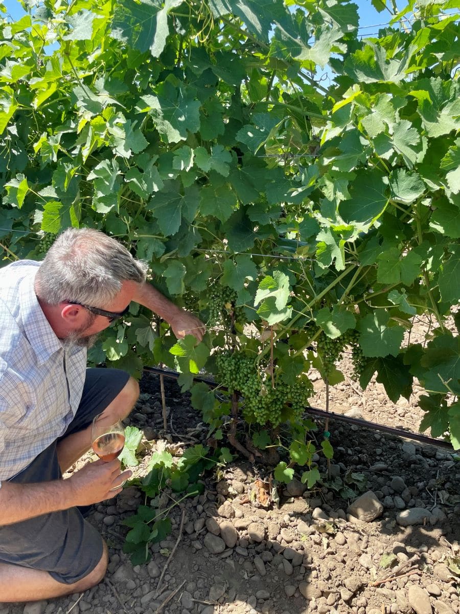 Visit at Rôtie Rocks Estate Vineyard during Celebrate Syrah Walla Walla Valley Wine.