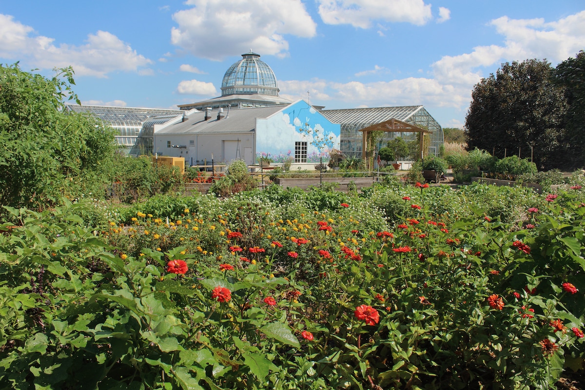 Conservatory at Lewis Ginter Botanical Gardens, VA