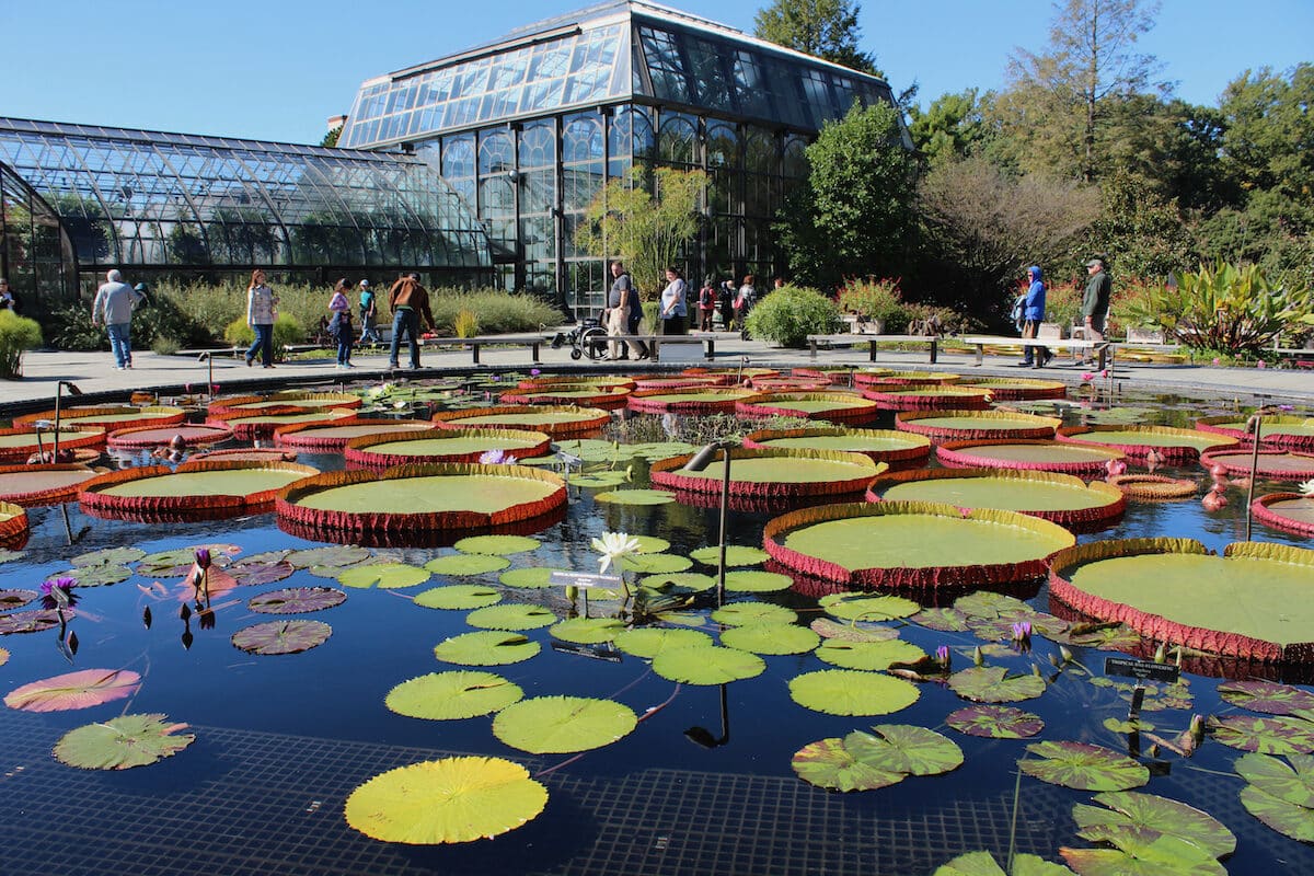Longwood water gardens 1