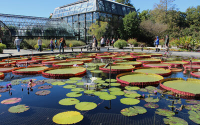 Wander These Great Mid-Atlantic Gardens