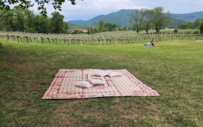 Picnicking in the Vineyards of Mosnel in Franciacorta, Italy