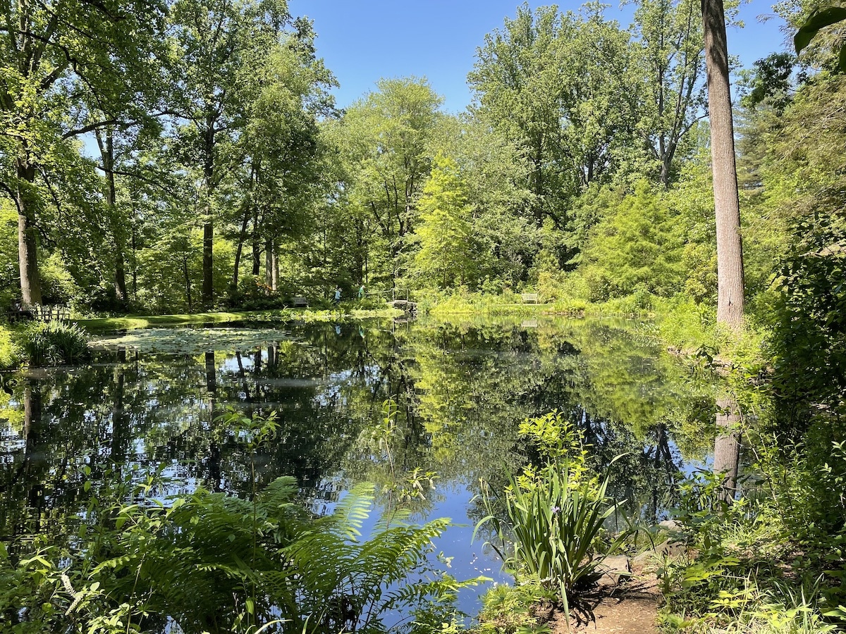 Mt Cuba Center pond in the woods