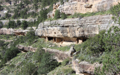 Best Things to Do at Walnut Canyon National Monument