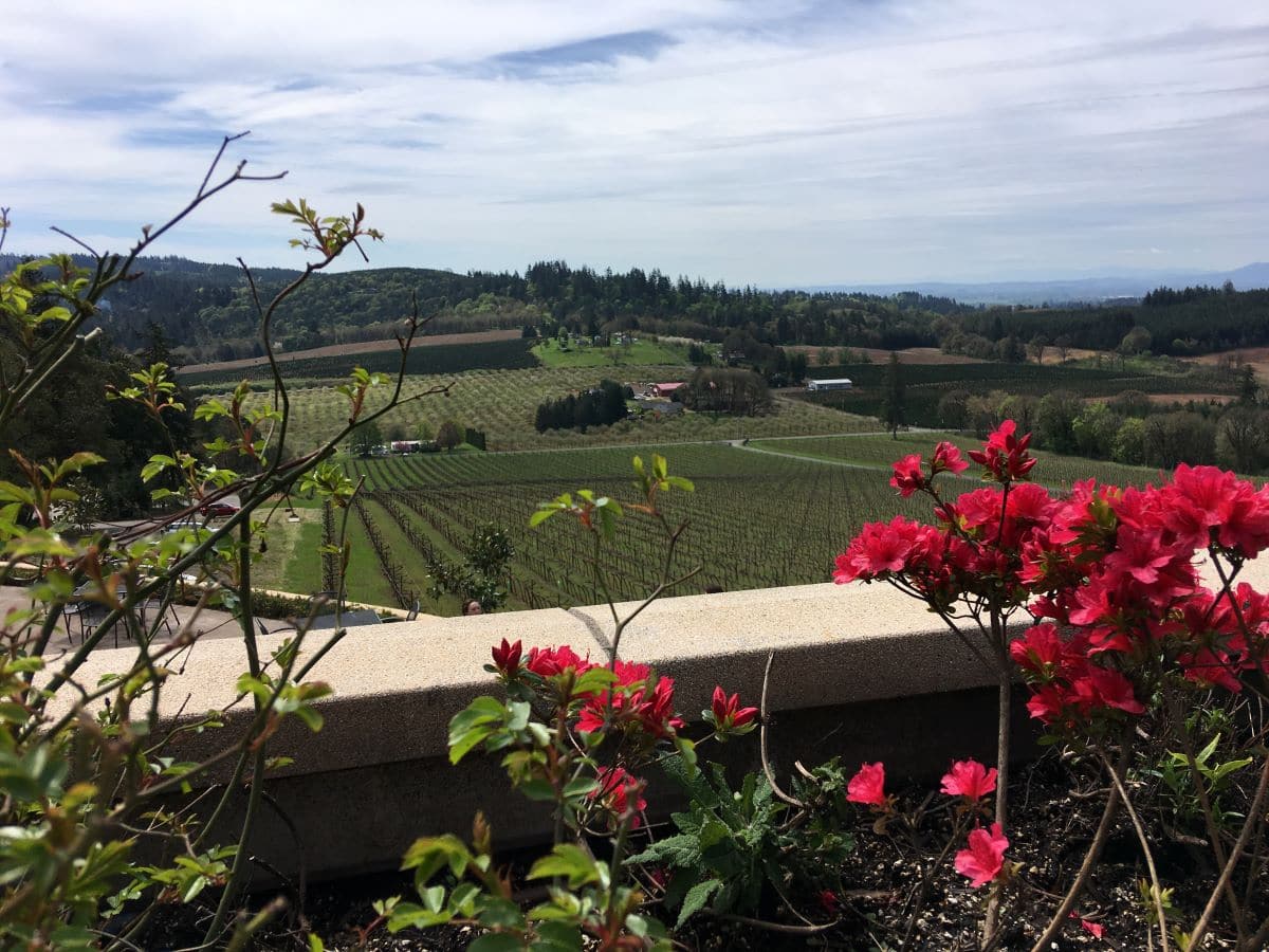 Willamette Valley Vineyards on the Marion Farm Loop.