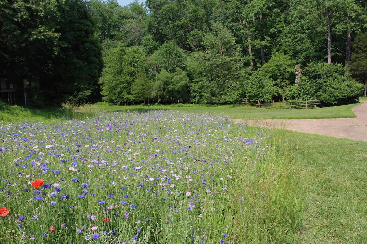 Wolf Trap National Park, VA