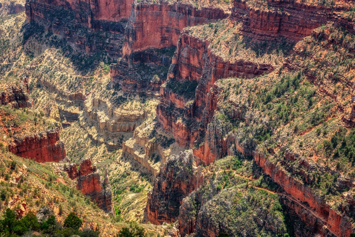 Grand Canyon North Rim