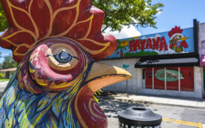 10 Best Food Finds in Little Havana, Miami