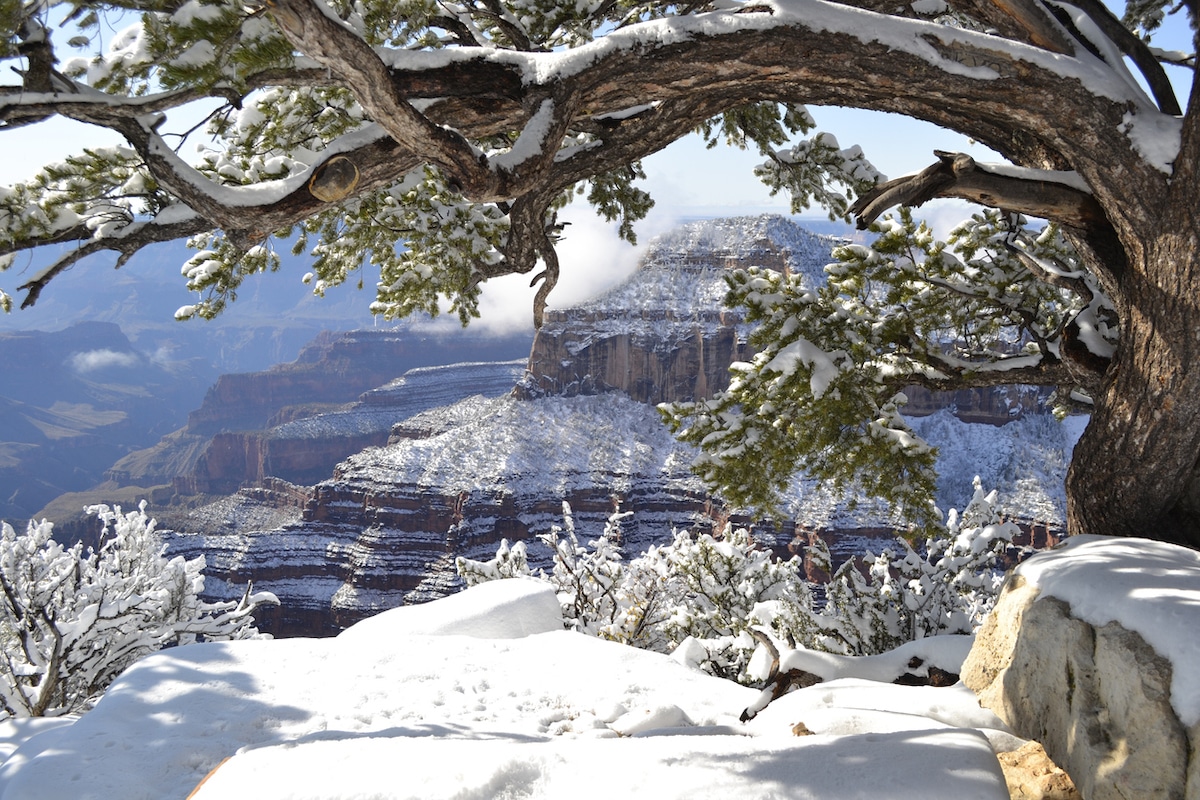 Grand Canyon North Rim