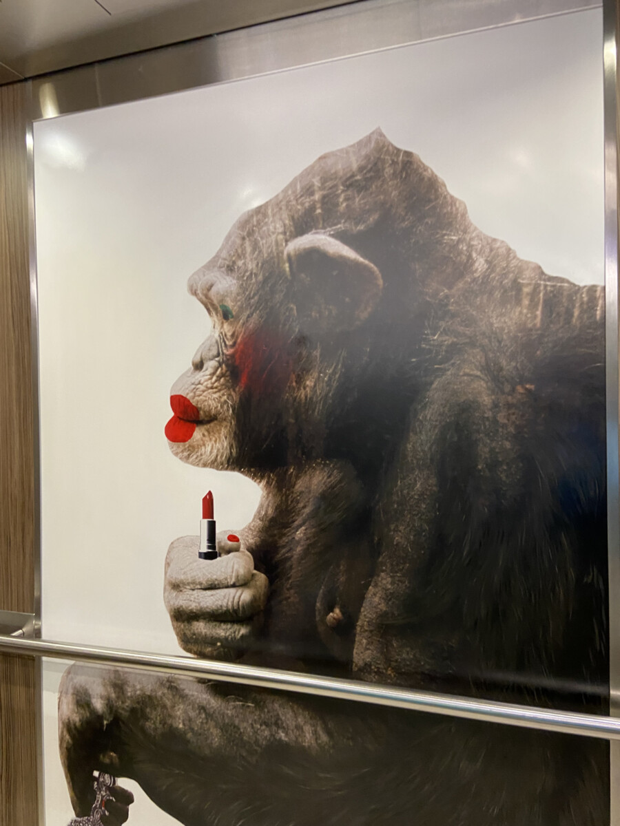 Cruising Alaska on Quantum of the Seas 4 Elevator Art