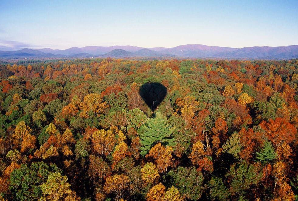 2 Days in Charlottesville, VA | Wander With Wonder