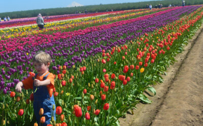 10 Things to Do in the Willamette Valley for Non-Drinkers