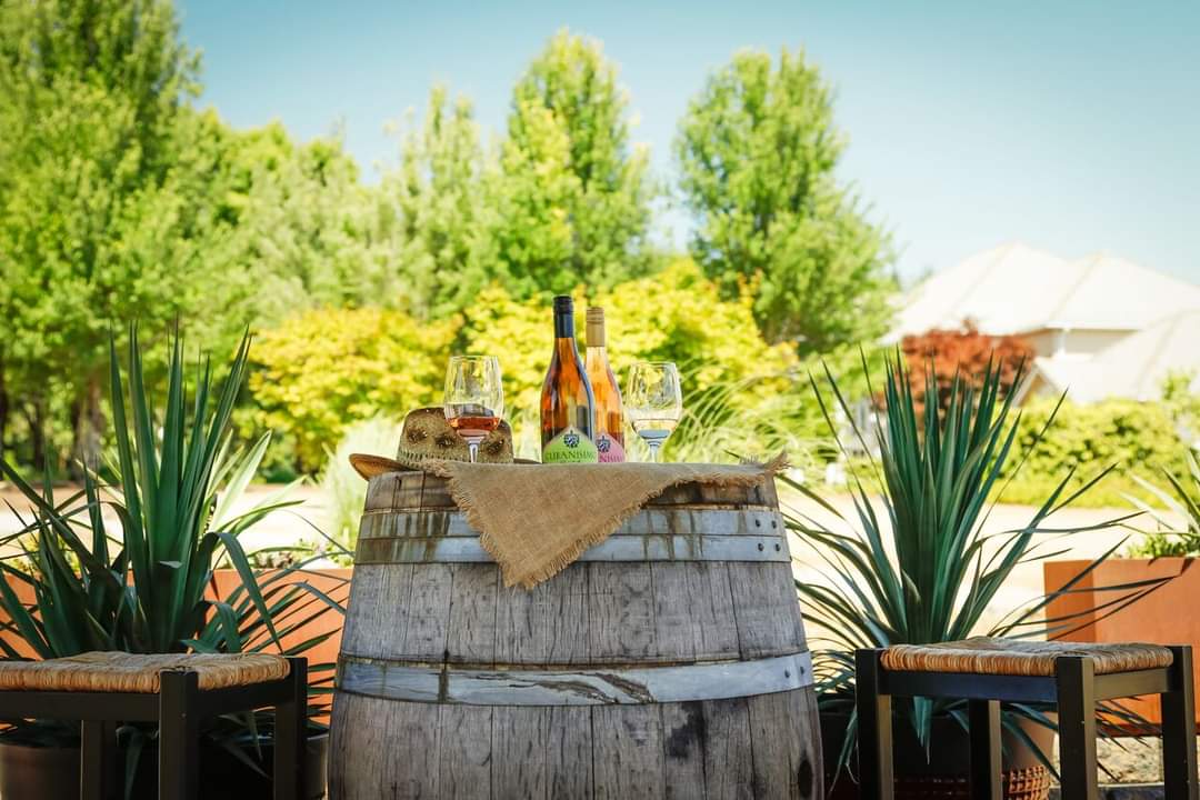 Cubanisimo a Hispanic-owned winery in Willamette Valley.