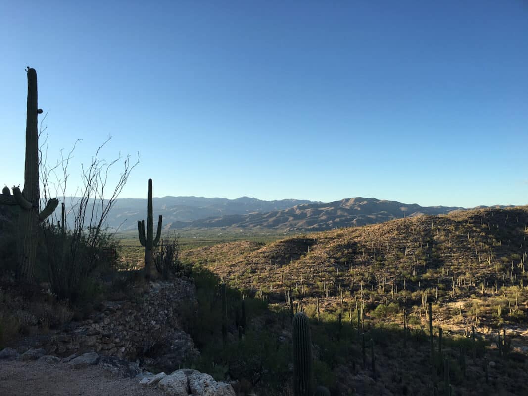 Saguaro National Park Rincon