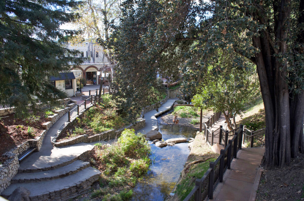 San Luis Creek Stroll © Cori Solomon