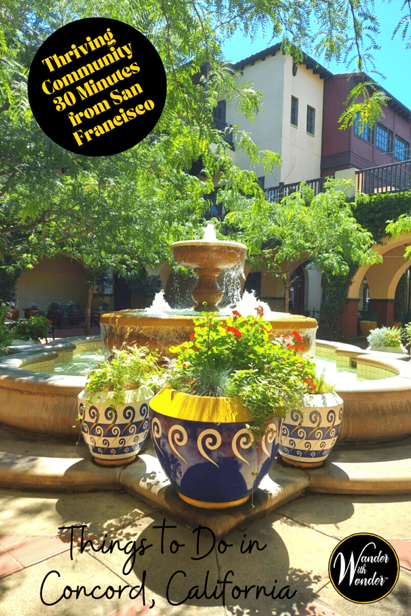 Located 30 miles from San Francisco, Concord, California, has many things to do. These are our favorite things to do in Concord.